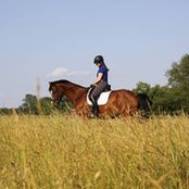Adrienne Meisner's photo