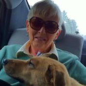 Diane Cashen's photo