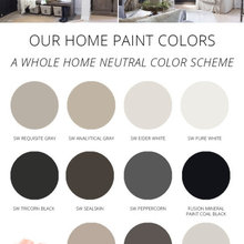color scheme