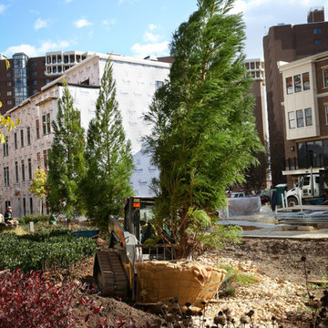 Greening the urban jungle