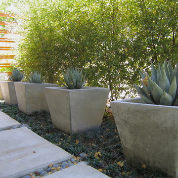 POTS IN THE LANDSCAPE