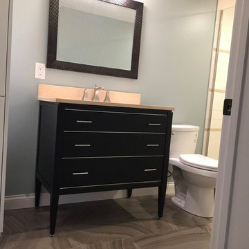 Lower Level Bathroom