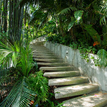 landscap and stairways