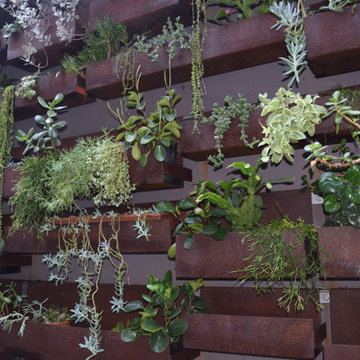 Succulent Vertical Wall