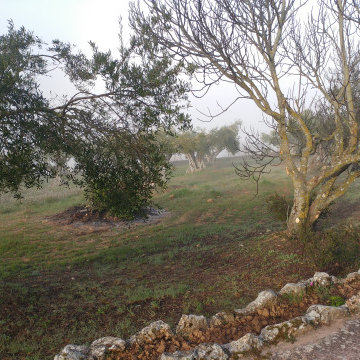 EL JARDÍN SIN RIEGO