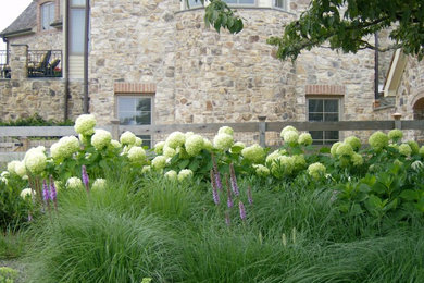 This is an example of a mid-sized traditional partial sun side yard landscaping in Baltimore.