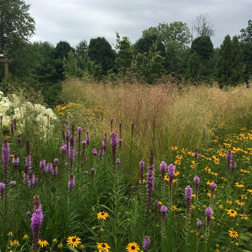 Newtown Square Meadow