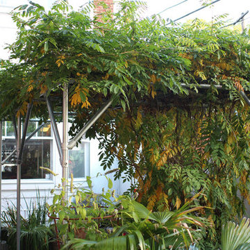 Wisteria Support Trellis and Pergola