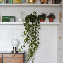 Shelf Ideas