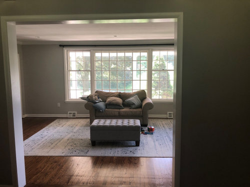 Need help with living room furniture/design layout!!