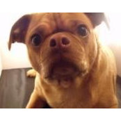 Michelle Standridge's photo