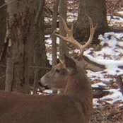 George Murray's photo