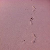 Katy Schmitt's photo