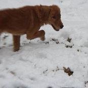 Nikolas Saylor's photo