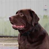 Stephen Murgo's photo