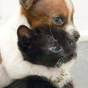 Inas Youssef Rahman's photo