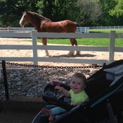 Alexandria Hahn's photo
