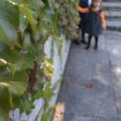 Mel Gia's photo