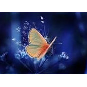 Gaby Veca's photo