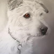 Mandy Chaffey's photo
