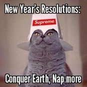 Leslie MacNair's photo