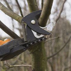 Abcut Tree Service, Inc.
