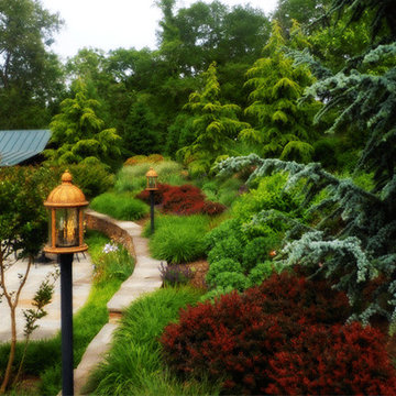 Landscaping, Patio, Retaining Wall & Lighting