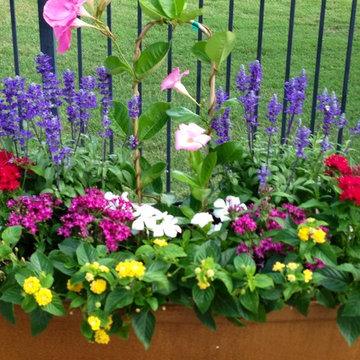 Prosper Fall Landscaping