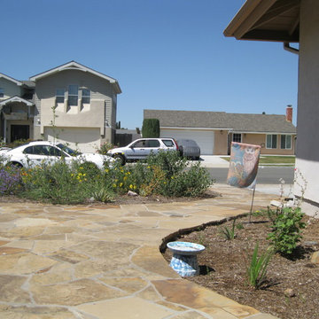 Lake Forest Birds Party Palace