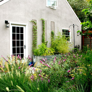 Midtown Meadow