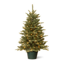 Wish List