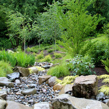 Dry creek bed