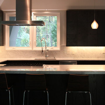 Buckhead Modern Home Remodel