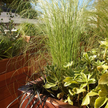 zoom sur jardinière en cuivre avec les plantations