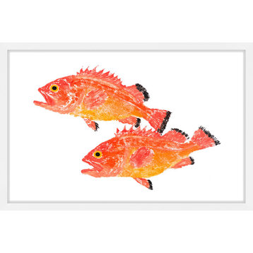 "Yelloweye Rockfish" Framed Painting Print, 30"x20"