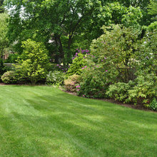 Landscaping Ideas