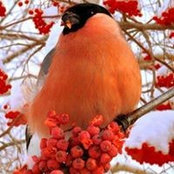 Wieslawa Galinsky's photo