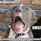 Jan Stanko D's photo