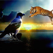 Wayne Morris's photo