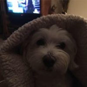 Frances Klak's photo