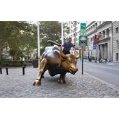 Farid Jalilvand's photo