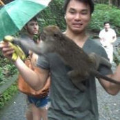 Photo de Kong Pham