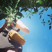 Miri Bodes's photo