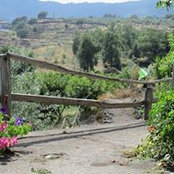 Santi Pulvirenti's photo
