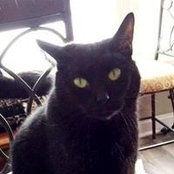 Lucy Smith's photo
