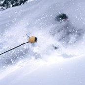 Thomas Bosshard's photo