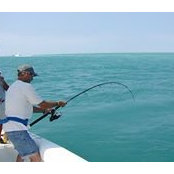 Jeff Denning's photo