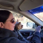 Lisa Decker's photo