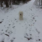 Michele Lowers's photo