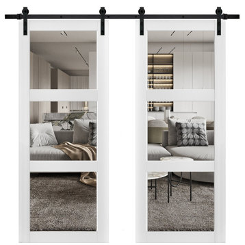 Double Barn Door 64 x 96 With Clear Glass, Lucia 2555 Matte White, 13FT Kit